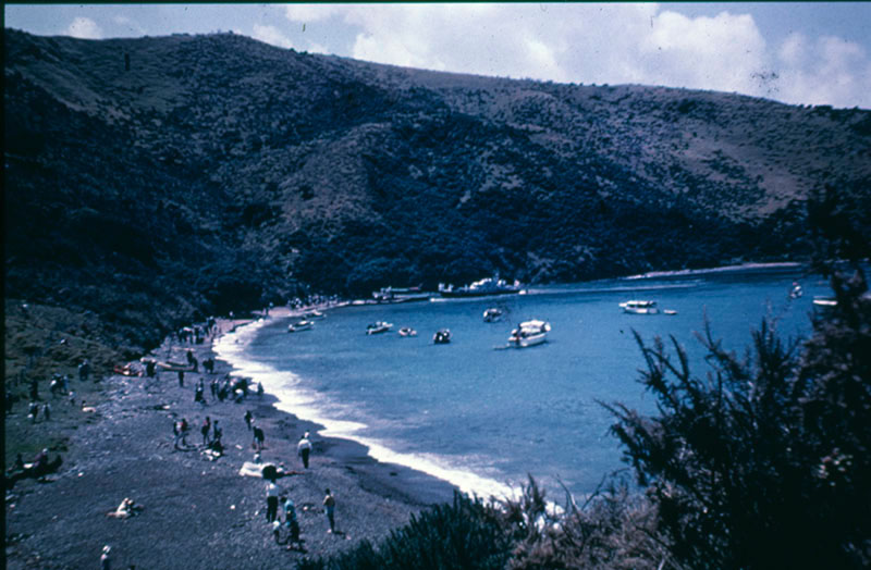 Oihi, Bay of Islands 1963