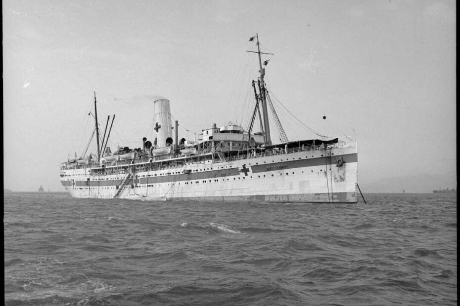 Hospital Ship on the ocean